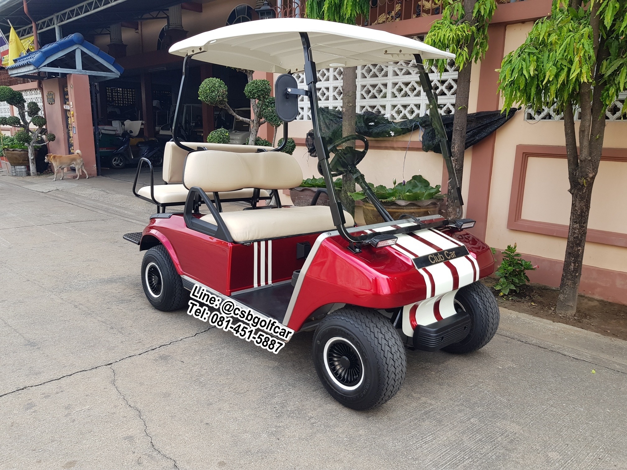 Club car ds gas | CSB Golf Cart