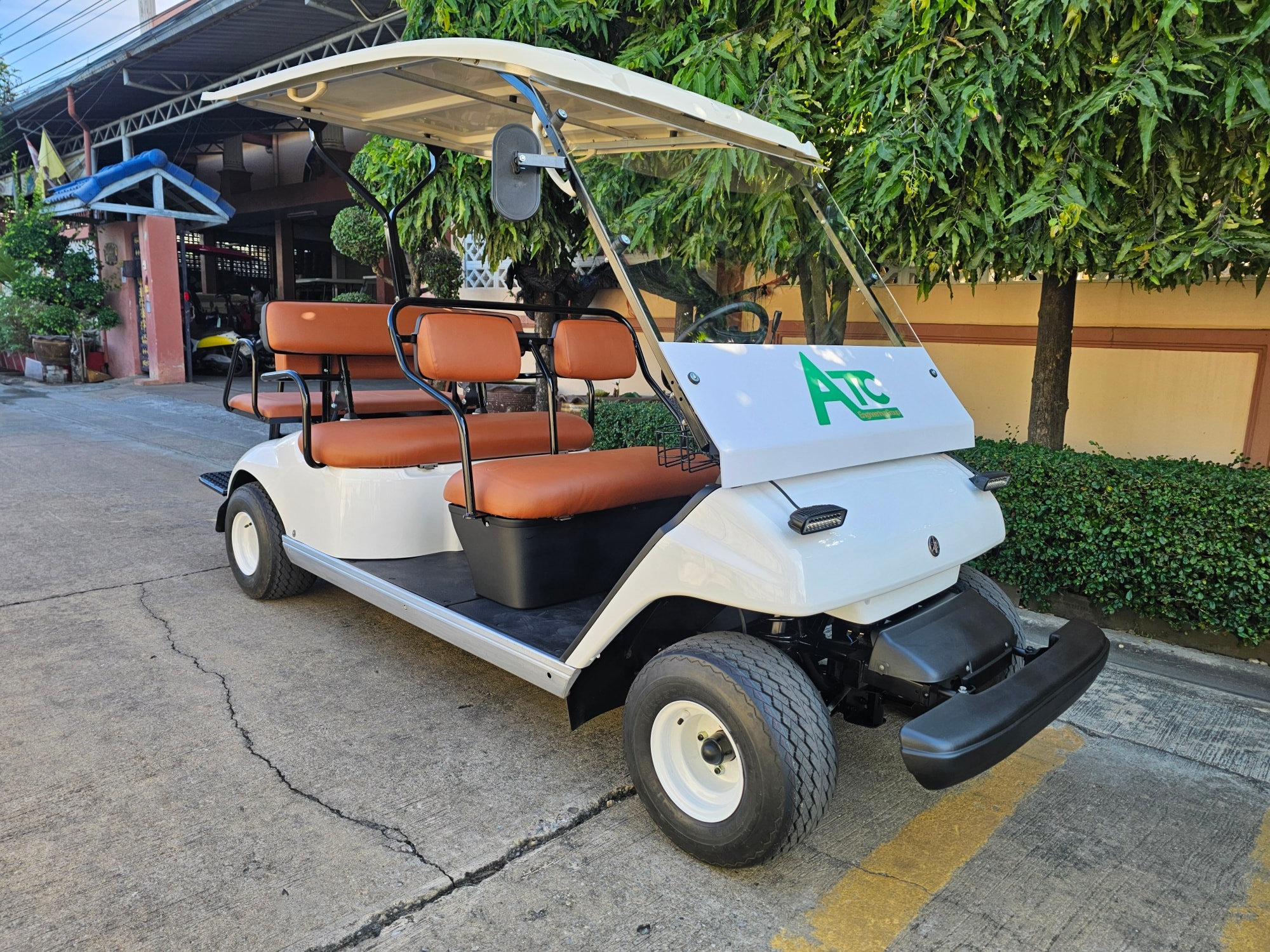 Yamaha Electric 4+2seats